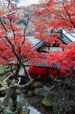 2017最新伦理高清免费-2017年伦理探索，高清免费资源与道德边界的微妙平衡