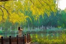 麻豆免费版av-探索成人娱乐的边界，一窥麻豆免费版av的背后